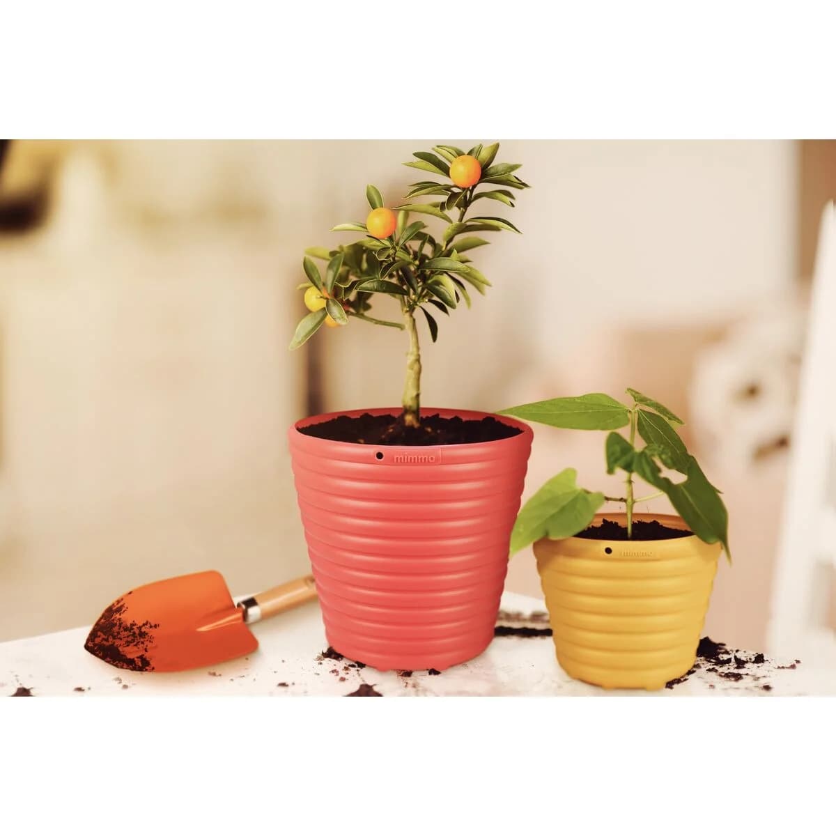 Pala De Metal Tramontina Jardineria Mango Madera 30 Cm — miniatura 6