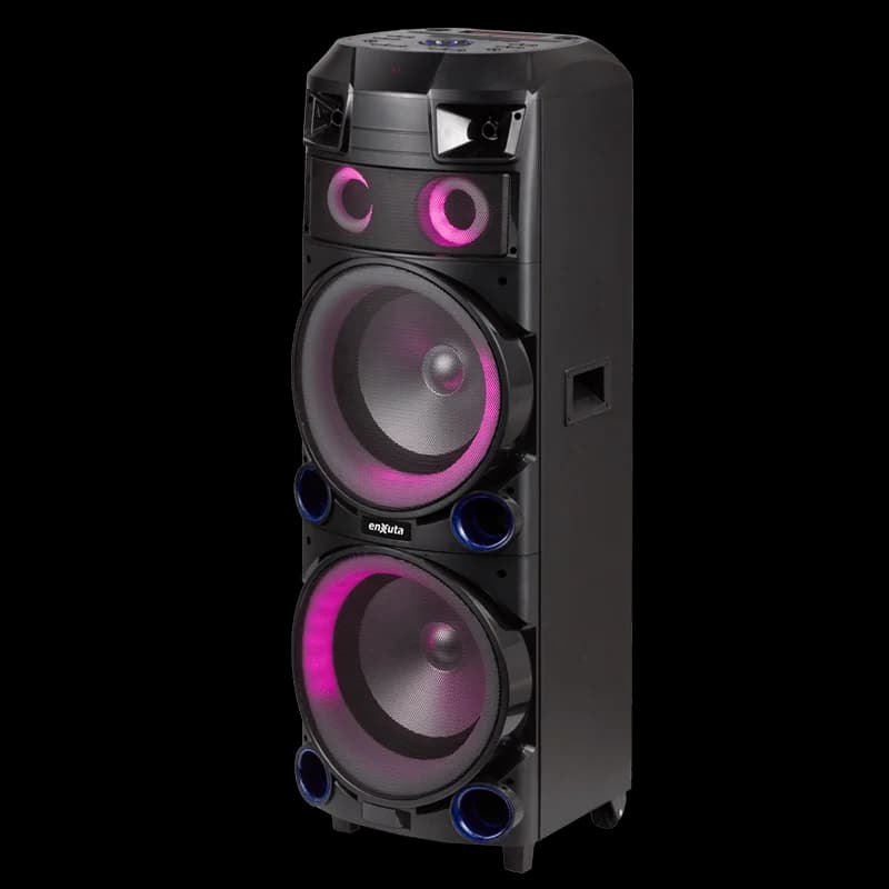 Torre de Sonido 2 x 12 Pulgadas 800 Watts PMPO — miniatura 3
