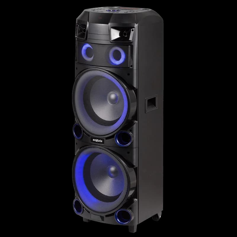Torre de Sonido 2 x 12 Pulgadas 800 Watts PMPO — miniatura 4
