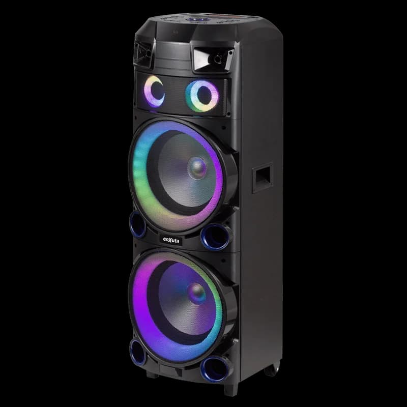 Torre de Sonido 2 x 12 Pulgadas 800 Watts PMPO — miniatura 5