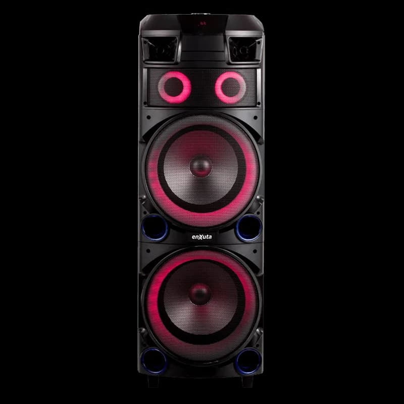 Torre de Sonido 2 x 12 Pulgadas 800 Watts PMPO — miniatura 7