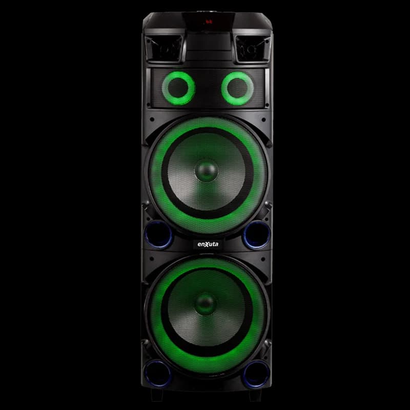Torre de Sonido 2 x 12 Pulgadas 800 Watts PMPO — miniatura 8