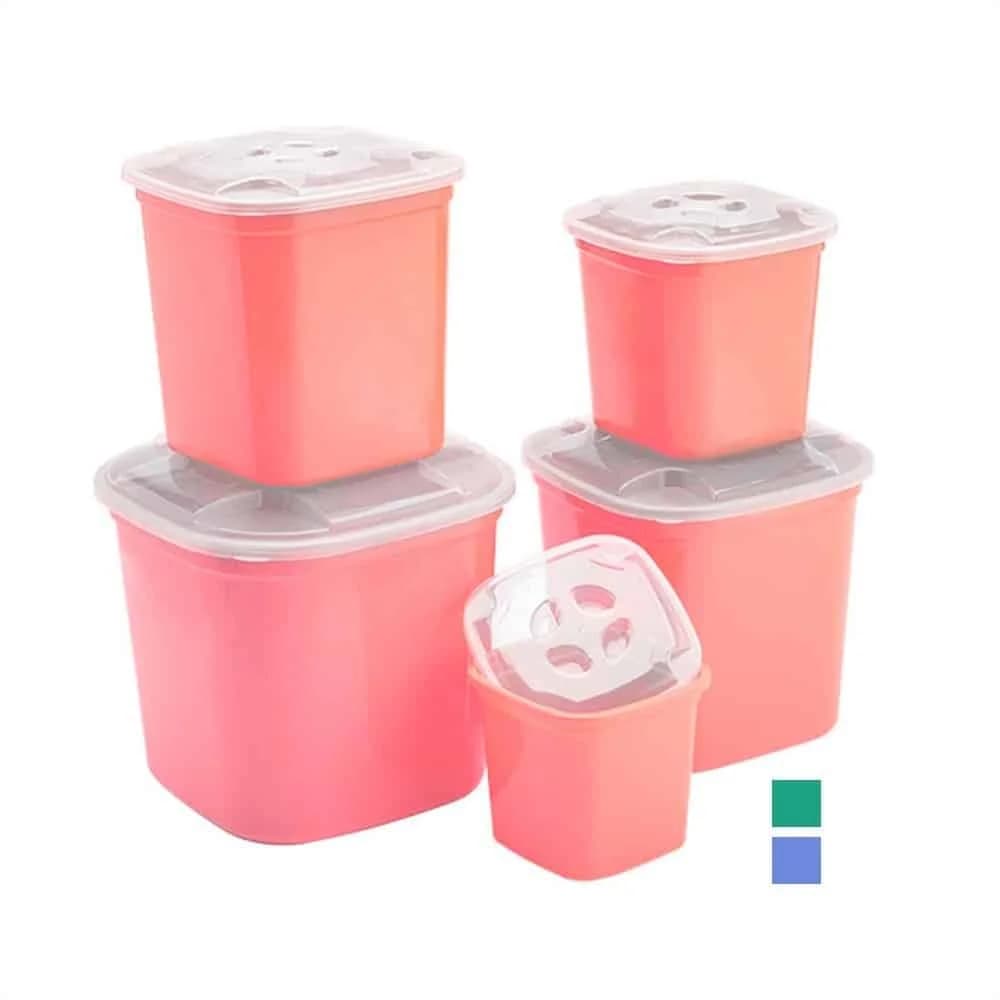 Juego Contenedores Tuppers Plastico 5 Piezas Grupo Dos — imagen 1 de 3