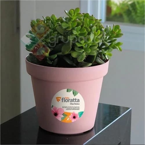 Macetero Maceta Plastica Para Plantas 3 Litros 19 Cm — miniatura 2