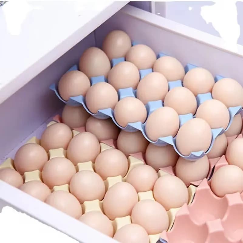 Huevera Organizador De Huevos Para 15 Unidades Plastico — miniatura 3
