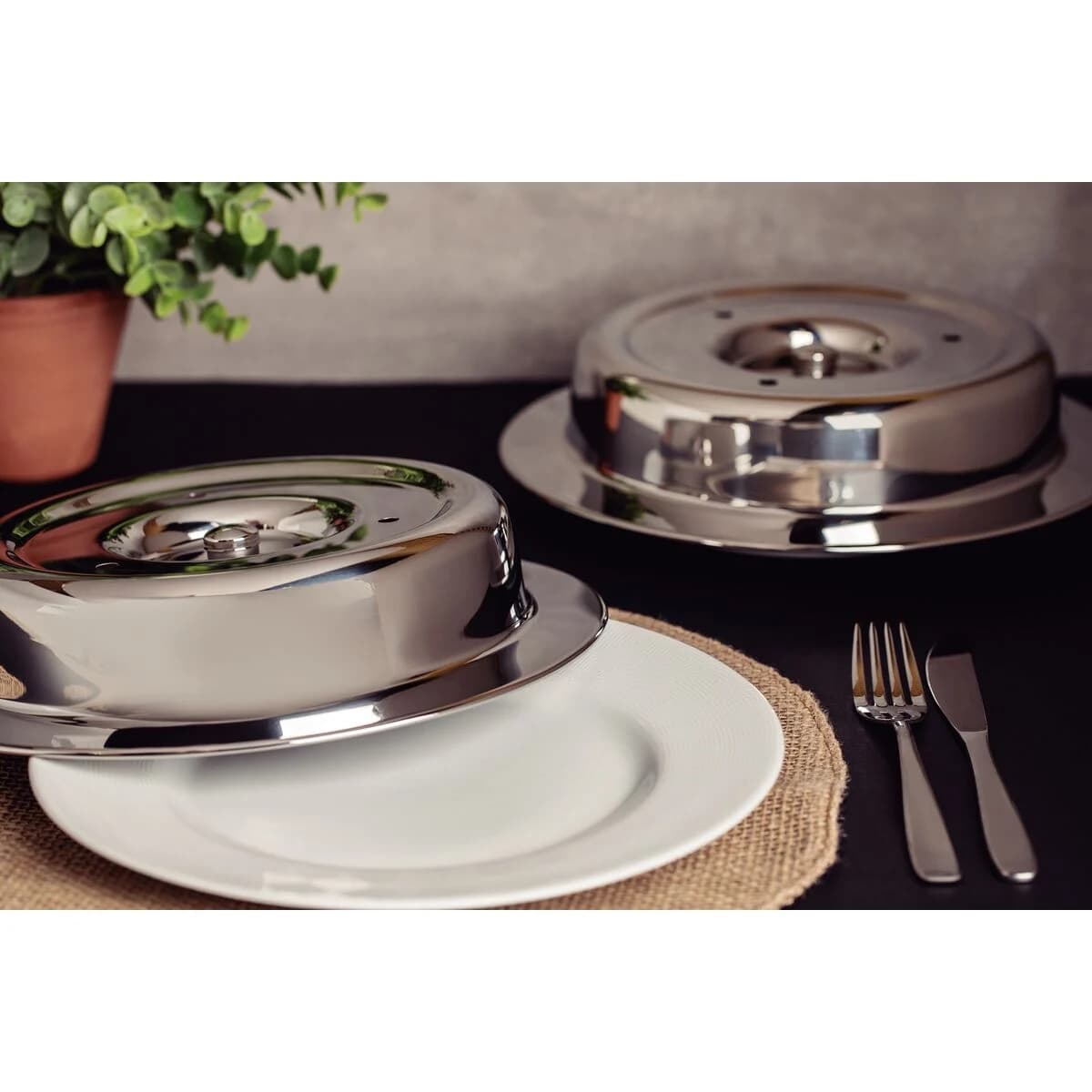 Campana Para Plato Tramontina Service Acero Inoxidable 28 cm — miniatura 4