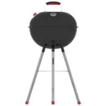 Parrilla Grill Barbacoa Tramontina A Carbon Tcp 450l - Imagen 3