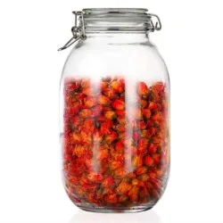 Frasco De Vidrio Hermetico Conserva 3000 Ml Broche De Metal