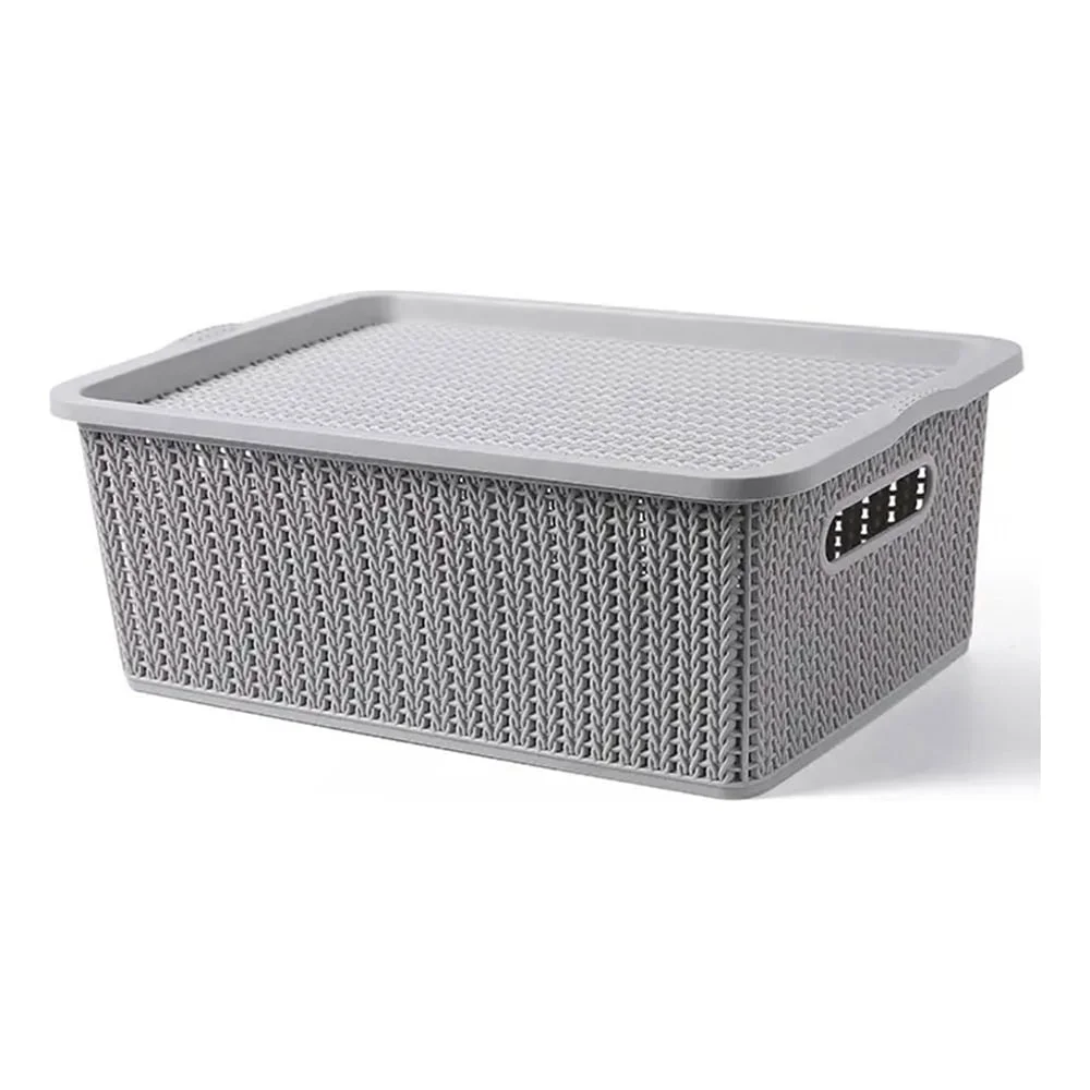 Caja Organizadora Plastico Simil Ratan Con Tapa Grupo Dos - Imagen 1